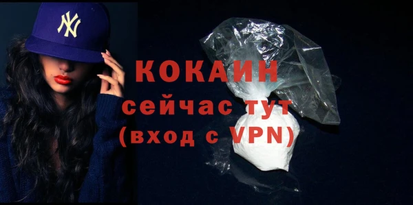 шишки Протвино