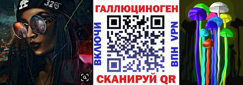 цена наркотик  Александров  MEGA как войти  Псилоцибиновые грибы ЛСД 