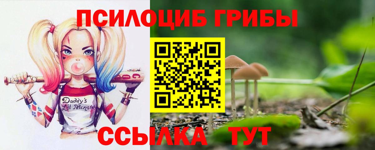 Псилоцибиновые грибы ЛСД Александров